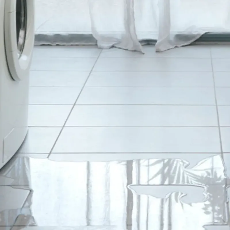 Appliance Leak Cleanup in Princeville, NC