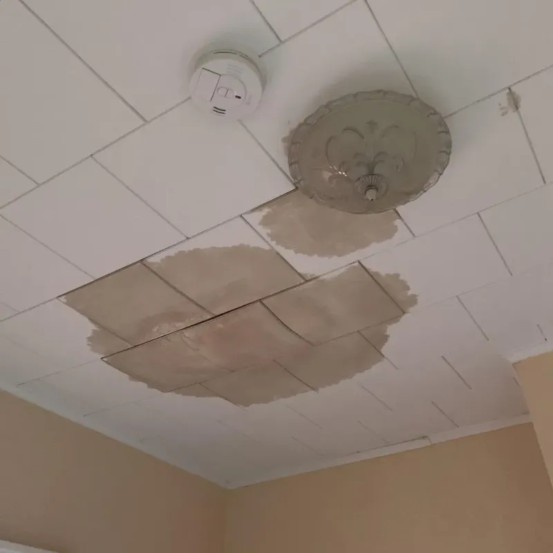 Ceiling Water Damage Repair in Princeville, NC