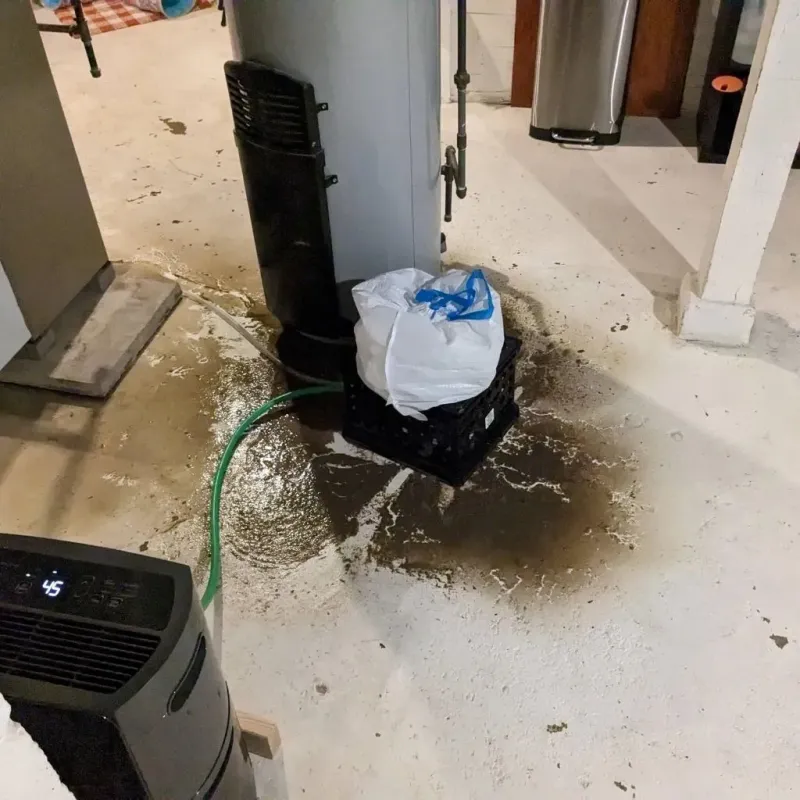 Sewage Backup Cleanup Service in Princeville, NC